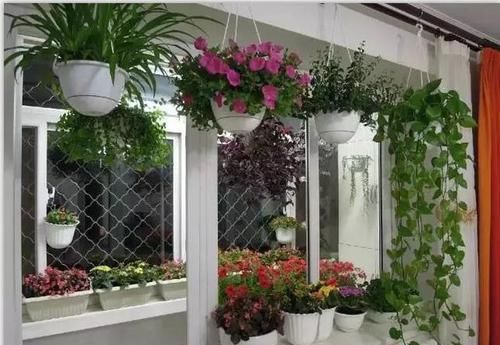  #花架#原来阳台还能这样种花，一看就像个花园，太漂亮了！