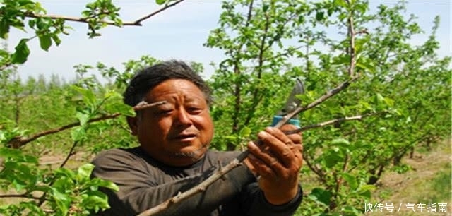  内陆地区|为什么西藏新疆出来打工的人很少，而河南四川出来打工