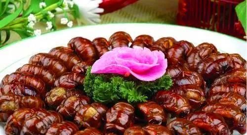  地下@地下5年地上30天，知了真的能吃吗？为什么洞里的蚂蚁不去