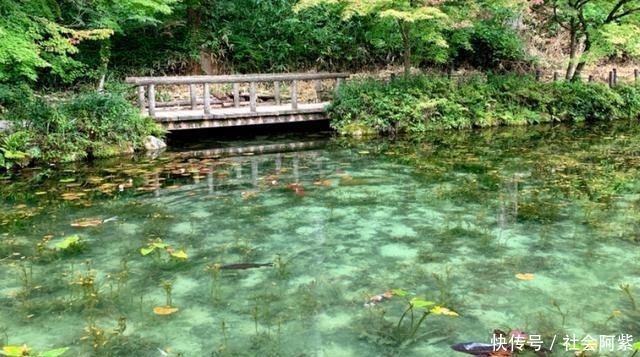 日本一处天然池塘,竟犹如莫奈经典名画,隐匿多年最近才被发现