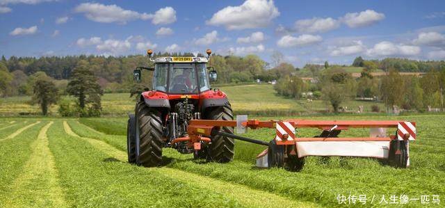 好消息，国家要在农村干10件大事，农民要乐开花了！