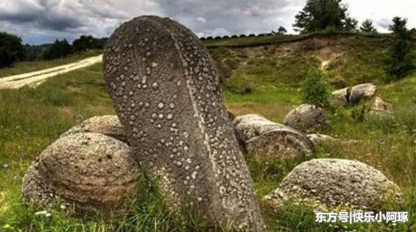 世界最“怪异”的石头,可自己喝水且遇水就长大,专家:无法解释