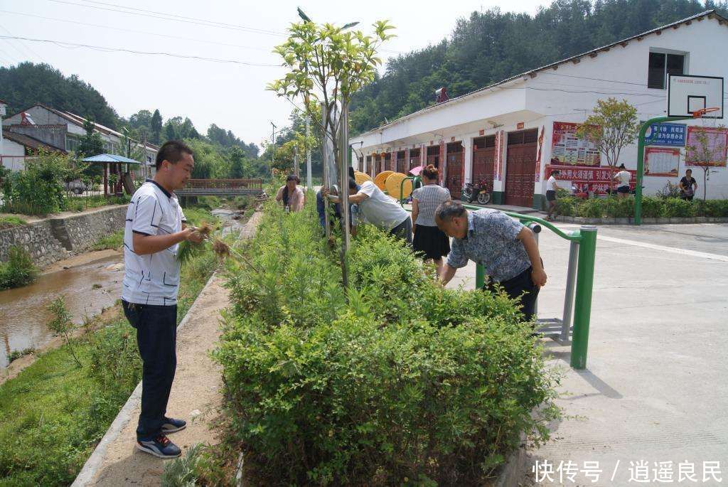 农民朋友要注意，农村将开始严查这几种行为，大家相互告知重视起