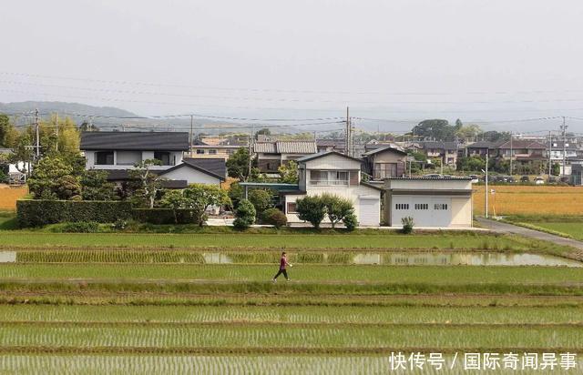 镜头下最真实的日本乡村生活，跟城市千差万别！