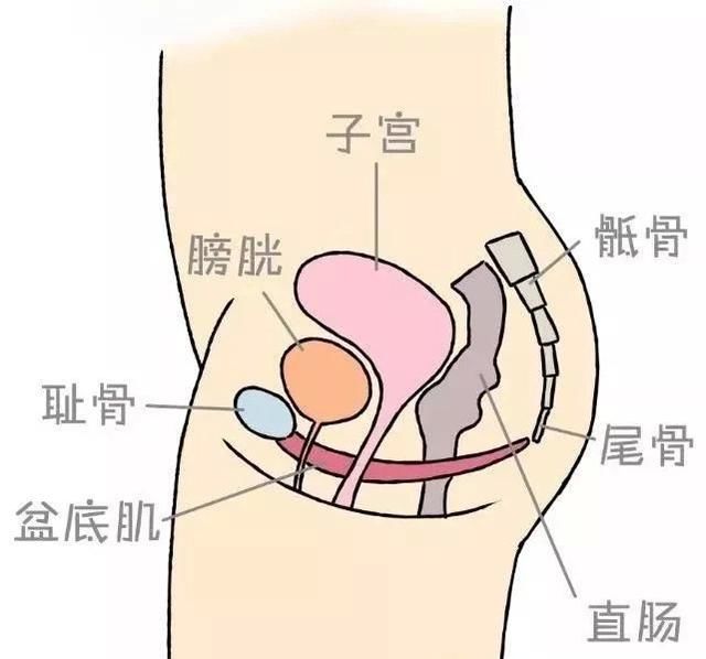 产后修复：从身体到心灵的全方位重塑