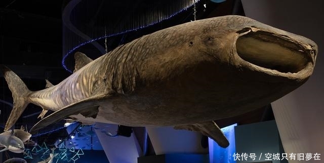 国家海洋博物馆值不值得去？来看看游客怎么说