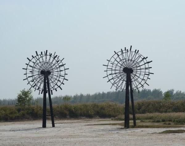 海拔仅为7米,国内唯一没有山的城市