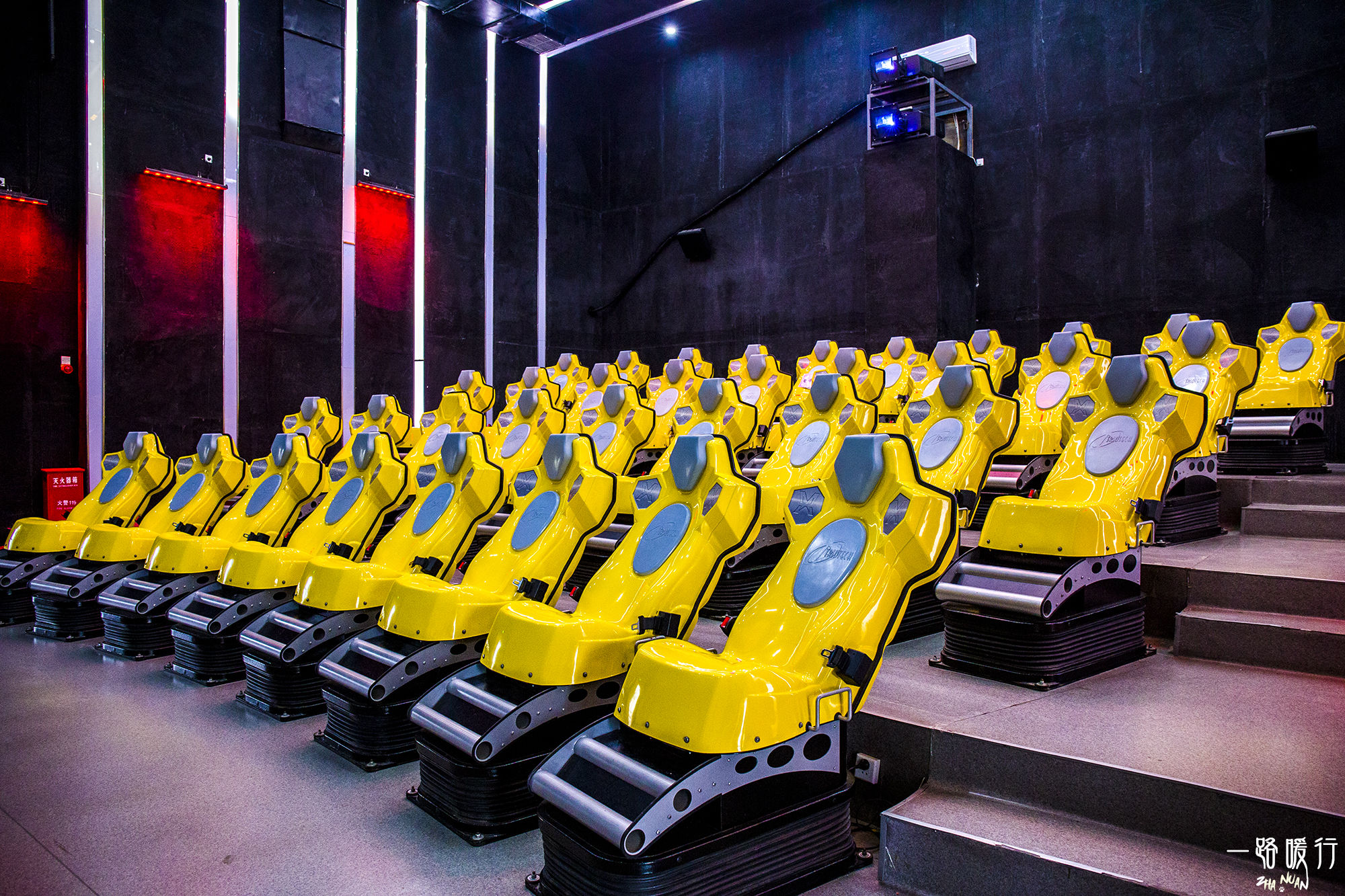 东营丨走过沧海桑田，终是在芦花飞雪的秋日遇见你