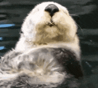  「中国」中国地铁强势‘入侵’美国波士顿！却100%好评？没了中