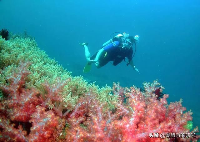 名副其实超值海岛!20元吃大虾,人均200住酒店,顺便考下潜水证