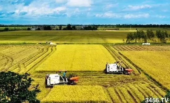 对不起，我要回去当农民了！重磅信号，中国即将实行三权分置！