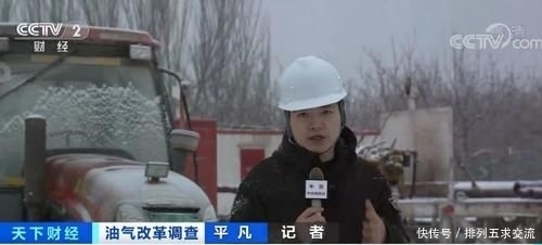  发现■3673万吨！民企首次出手油气勘探就有重大发现！