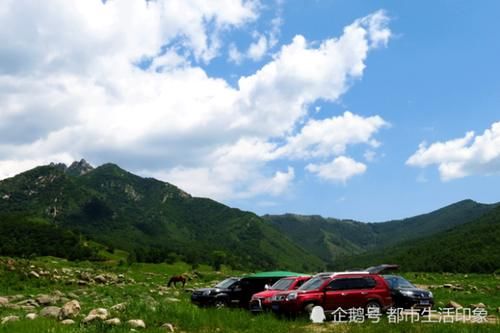 自驾游并不便宜，为什么大家依旧钟爱它？驴友：比报团旅游划算