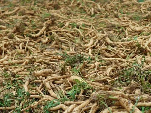  「赵老板说」农民种植一种农作物，投入500元，亩收入5千元，秘