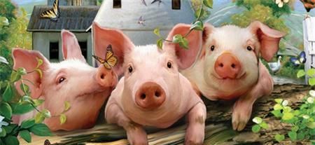 非瘟红了中国天？猪价火了养猪人？