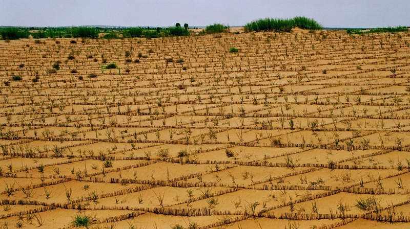 中国又一逆天大作！荒芜沙漠变绿洲，覆盖面积大到不敢相信