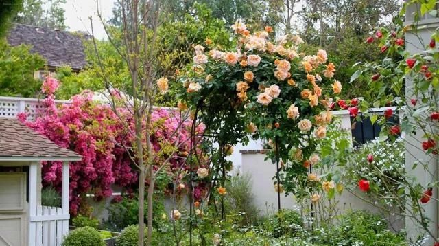  [花园里]花园里安置一样物件起画龙点晴之功效，瞬间让你的花园变美100倍