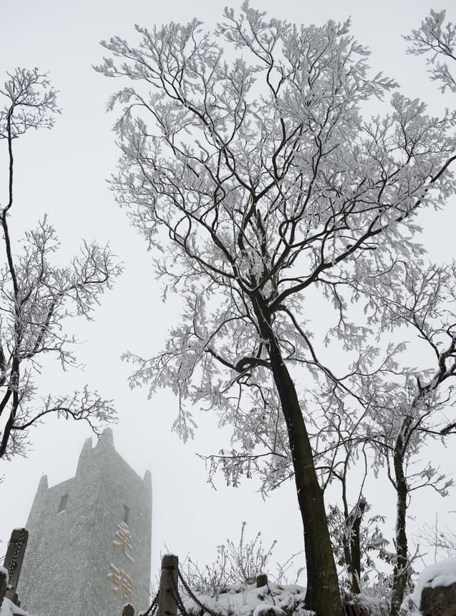 李子柒家乡绵阳风情