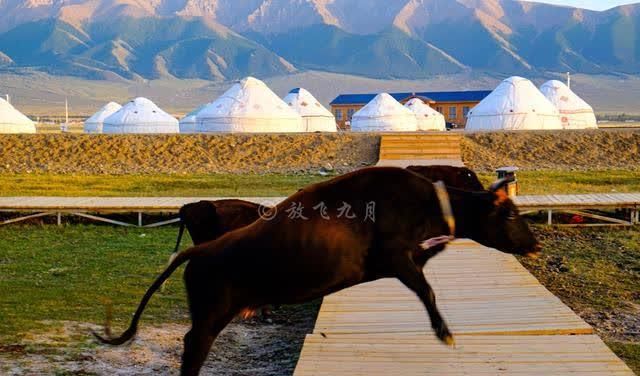 自驾新疆，天山脚下巴里坤湖两个入口区别很大，门票免费