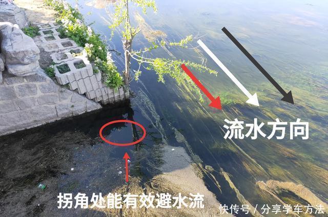 【城市】城市内河,老年人的专属钓场!流水、富养、青苔,比郊外垂钓更难