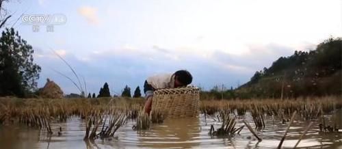  名副其实|列车长还能“带货”？这趟火车上挂着价目表