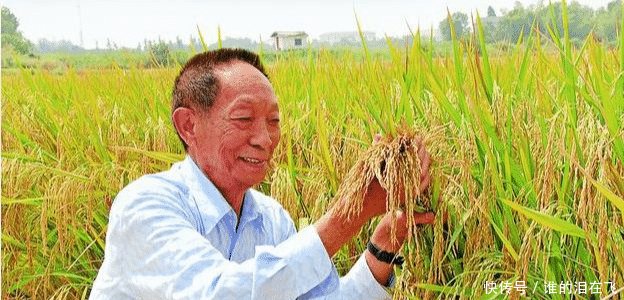  大国■都是人口大国，为何印度向全球出口粮食，而中国要满世界