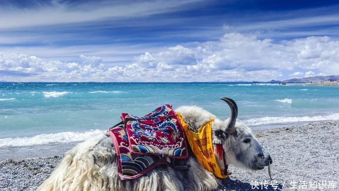 新疆西藏这4条自驾线去过才不枉此生!