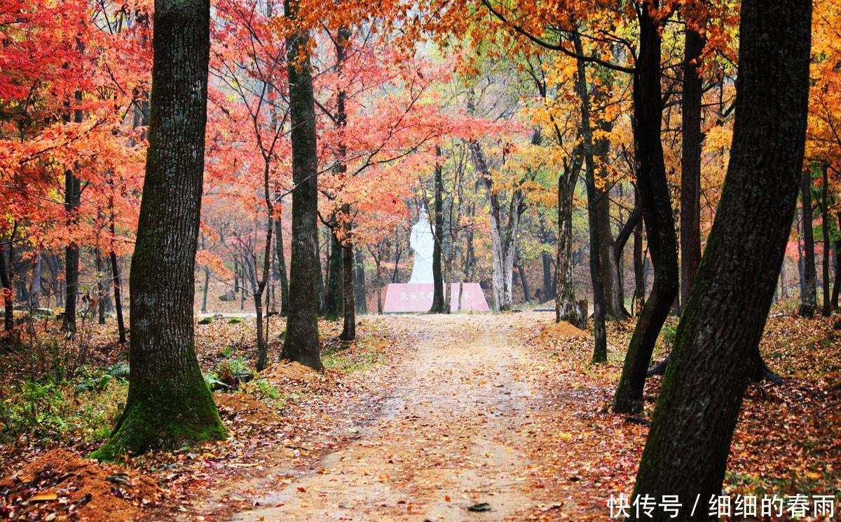 秋天旅行最美丽的景点，每一个都是短暂的的人间仙境，真的太美了