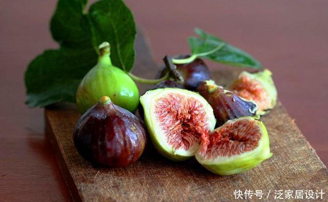果实|一节枝条,轻松种一盆无花果盆栽,果实多的吃不完!