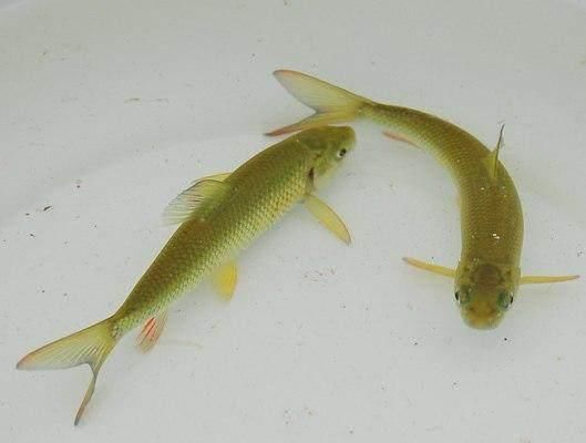 t01ca2162a754daeef1.jpg