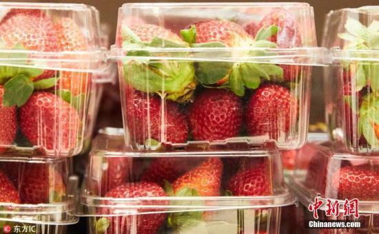 “草莓藏针”频发引恐慌 澳总理建议严惩“塞针”嫌犯