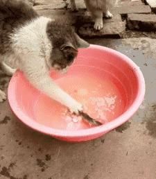  躲避@无法躲避，始料不及！疼！这个是真的疼啊！不是装的