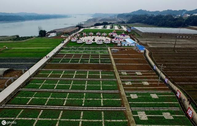 8月1日开始，农民退出土地，一亩补偿4万元！但要满足这几点