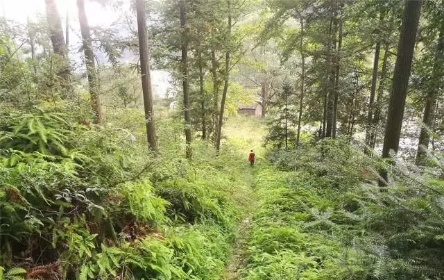  「大若岩镇」温州芙蓉岭古道，浙江省十大人文古道之一