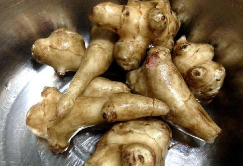  「见到」这个植物农村经常见到，现在人工种植不需管理就高产，