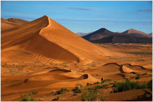  沙子@世界最“伟大”的工程：40年治沙5000万亩，改变了大半个中