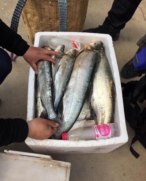  「泡沫箱」万峰湖真的是钓鱼人的天堂吗？