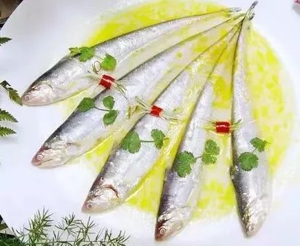 全面禁捕！这种动辄上万一斤的小鱼，今后再也吃不到了？