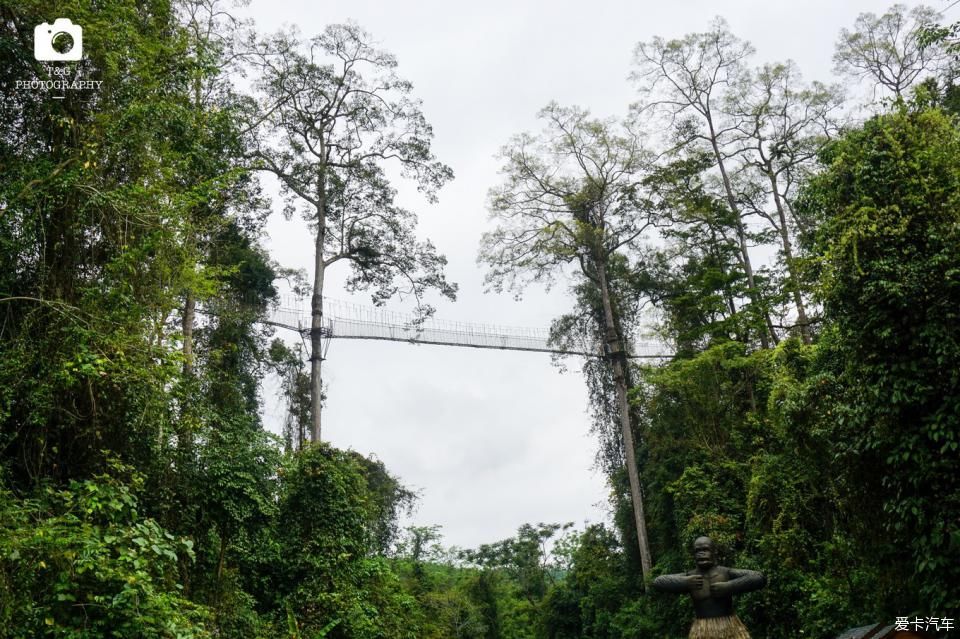  西双版纳@绿水青山就是金山银山，去西双版纳过泼水节！