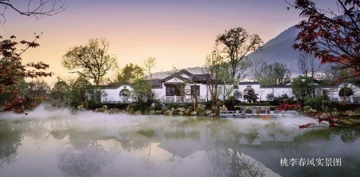  【宋卫】布局大湾区：宋卫平和他的理想小镇