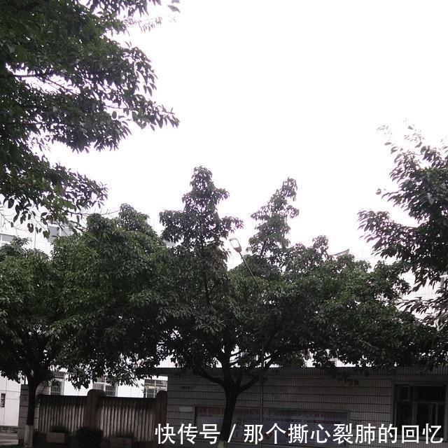  #四川省#四川省江油市, 一个县级市的富裕程度超出你的想像!