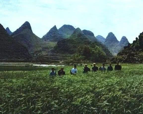 一组记录上世纪七十年代人民公社开展生产运动的珍贵老照片