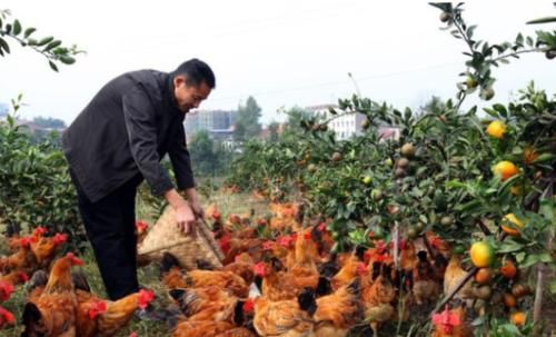  【医保】在农村，这三类农民哪怕不交医保，也能享受医保待遇！