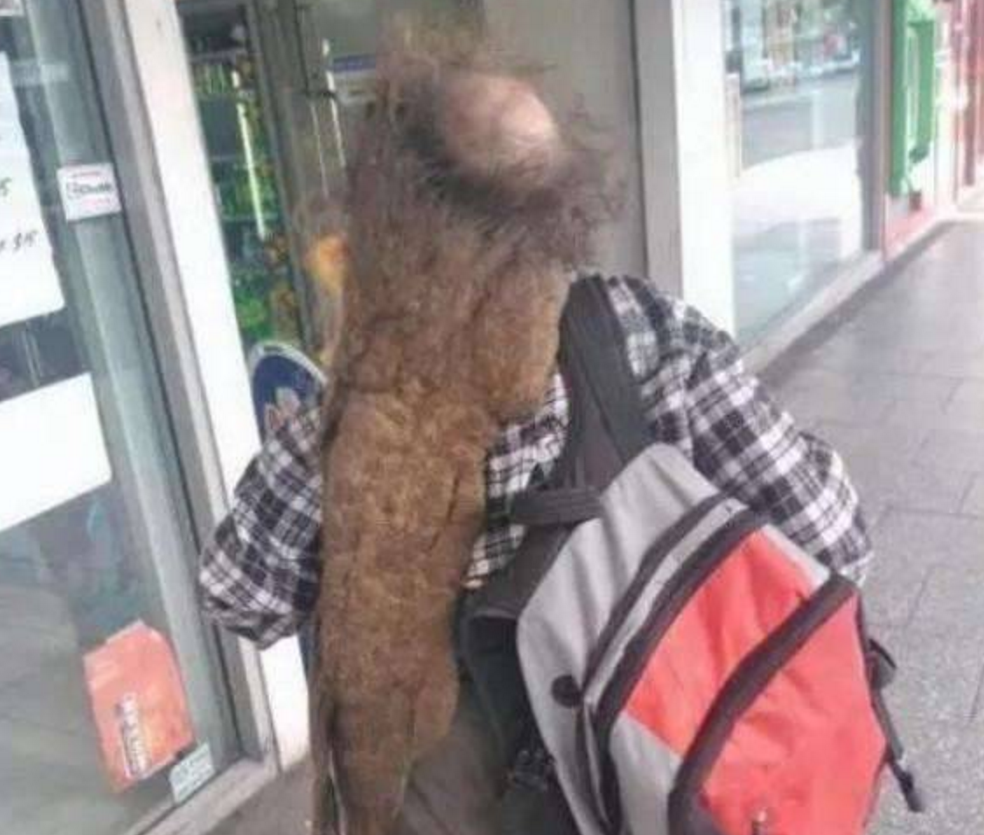 女子10年不洗头不剪头发的人, 咋一看还以为是一条巨型尾巴