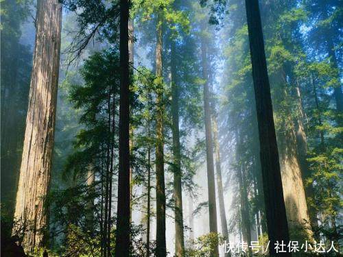  「下岗」对于已经买断下岗的职工企业单位，还需不需要承担相应