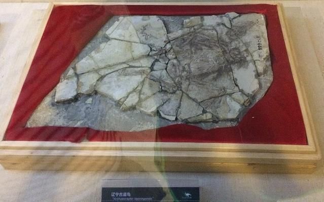 曾经“愚弄世人”的5个骗局，尽管都不靠谱，却欺骗了不少人!