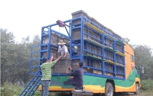 好消息！这类运载货车将恢复绿通，上高速不用再交通行费了！