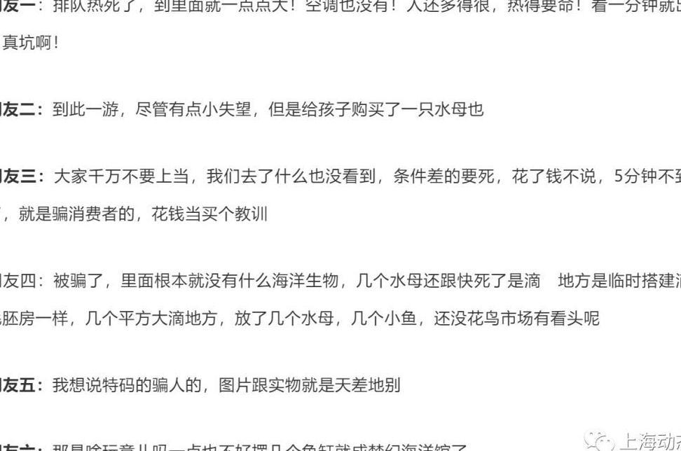 巨坑！刷爆上海人朋友圈的“梦幻海洋馆”，真相太残酷……