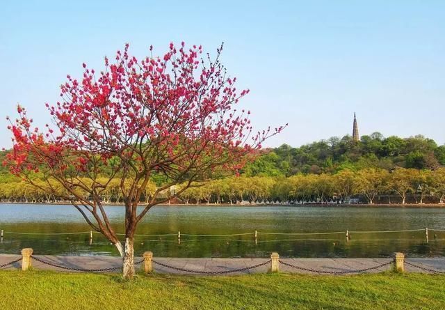 3月最佳旅行地榜单:十大绝美仙境，春暖花开美到窒息!