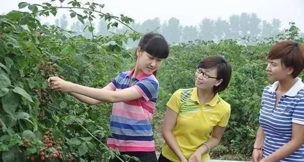  赚钱■未来3到5年，农村3大路子最赚钱，干好能发大财，可别埋头蠢干